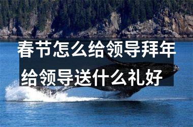 <h3>春节怎么给领导拜年 给领导送什么礼好