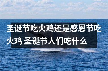 <h3>圣诞节吃火鸡还是感恩节吃火鸡 圣诞节人们吃什么