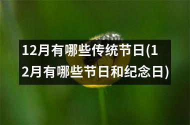 <h3>12月有哪些传统节日(12月有哪些节日和纪念日)