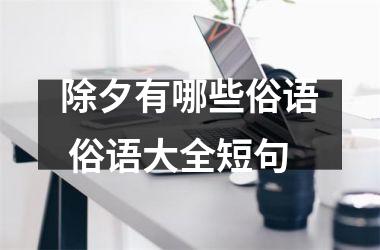 <h3>除夕有哪些俗语 俗语大全短句