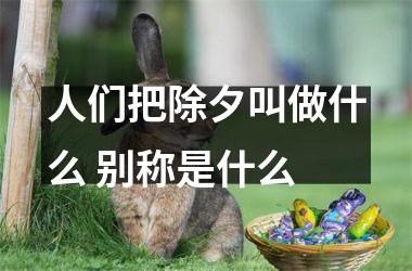 <h3>人们把除夕叫做什么 别称是什么