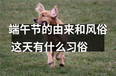 <h3>端午节的由来和风俗 这天有什么习俗