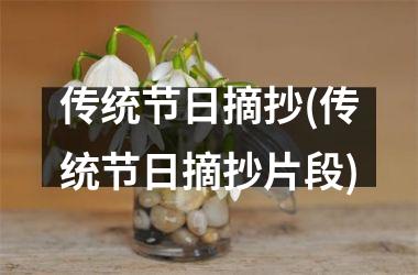 传统节日摘抄(传统节日摘抄片段)
