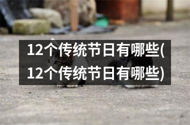 <h3>12个传统节日有哪些(12个传统节日有哪些)