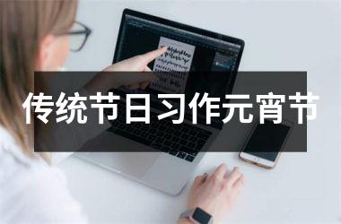 <h3>传统节日习作元宵节