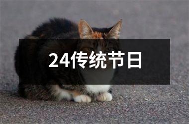 <h3>24传统节日