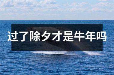 <h3>过了除夕才是牛年吗