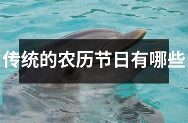 <h3>传统的农历节日有哪些