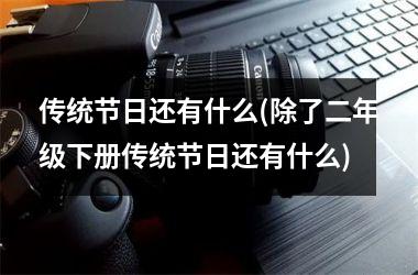 <h3>传统节日还有什么(除了二年级下册传统节日还有什么)