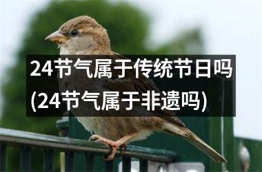 24节气属于传统节日吗(24节气属于非遗吗)