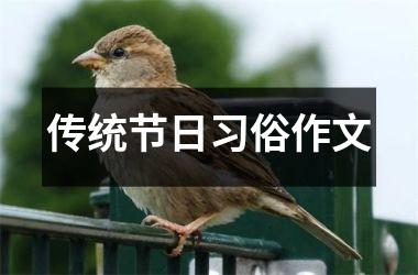<h3>传统节日习俗作文