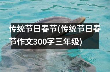 <h3>传统节日春节(传统节日春节作文300字三年级)
