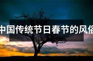 <h3>传统节日春节的风俗