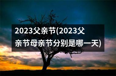 <h3>2025父亲节(2025父亲节母亲节分别是哪一天)