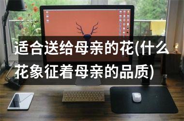 <h3>适合送给母亲的花(什么花象征着母亲的品质)