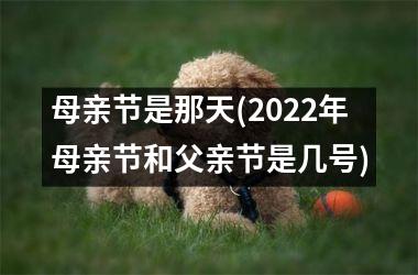 <h3>母亲节是那天(2025年母亲节和父亲节是几号)