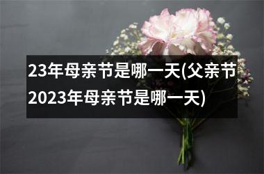 <h3>23年母亲节是哪一天(父亲节2025年母亲节是哪一天)