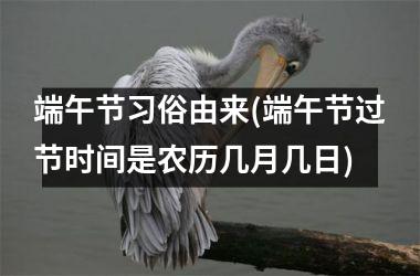<h3>端午节习俗由来(端午节过节时间是农历几月几日)