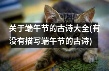 <h3>关于端午节的古诗大全(有没有描写端午节的古诗)