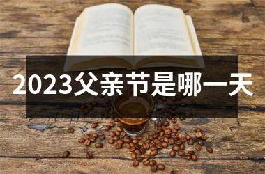 <h3>2025父亲节是哪一天