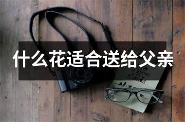<h3>什么花适合送给父亲