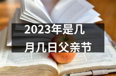 <h3>2025年是几月几日父亲节