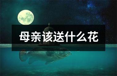 <h3>母亲该送什么花