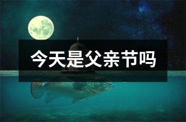 <h3>今天是父亲节吗