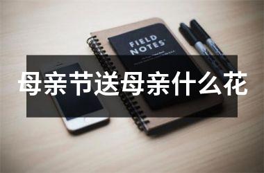 <h3>母亲节送母亲什么花