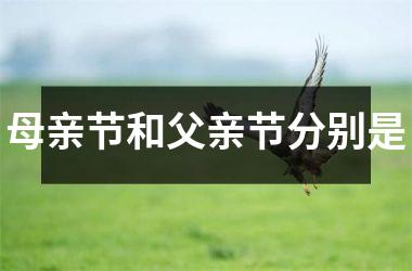 母亲节和父亲节分别是