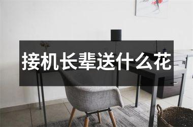 <h3>接机长辈送什么花