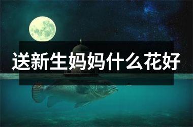 <h3>送新生妈妈什么花好
