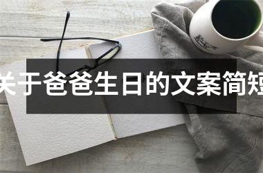 <h3>关于爸爸生日的文案简短