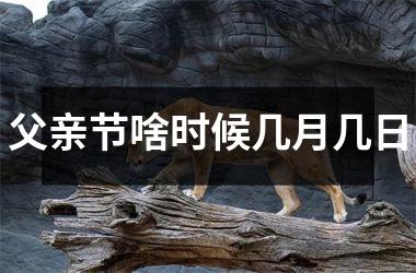 <h3>父亲节啥时候几月几日