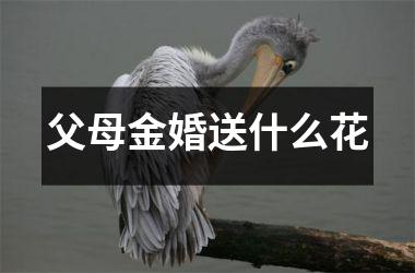<h3>父母金婚送什么花