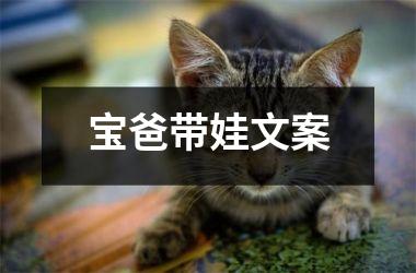 <h3>宝爸带娃文案