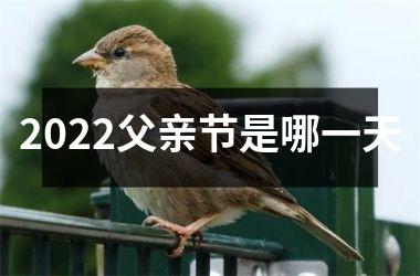 <h3>2025父亲节是哪一天