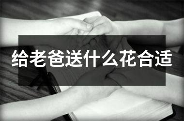 <h3>给老爸送什么花合适