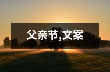 <h3>父亲节,文案