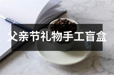 <h3>父亲节礼物手工盲盒