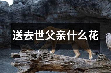 <h3>送去世父亲什么花