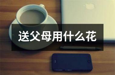 <h3>送父母用什么花
