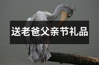<h3>送老爸父亲节礼品
