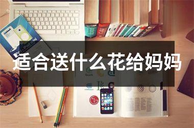 <h3>适合送什么花给妈妈