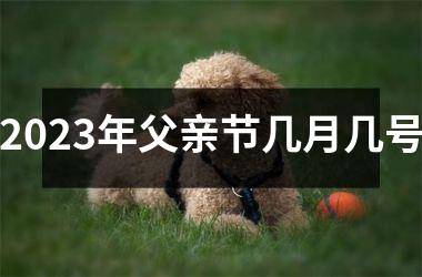 <h3>2025年父亲节几月几号