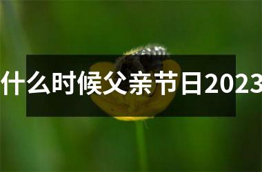<h3>什么时候父亲节日2025