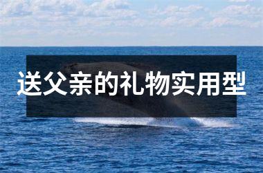 <h3>送父亲的礼物实用型