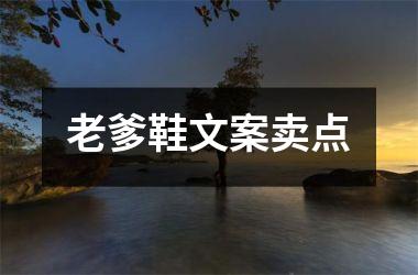 <h3>老爹鞋文案卖点