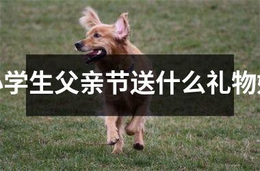 小学生父亲节送什么礼物好