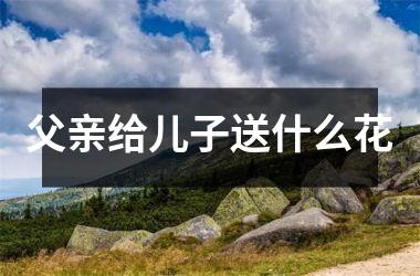 <h3>父亲给儿子送什么花